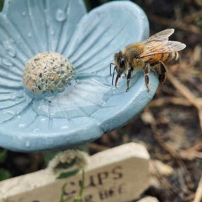 BeeBloom Pro™ Vattenstation – Hjälp bin och fjärilar med en vacker blomskål