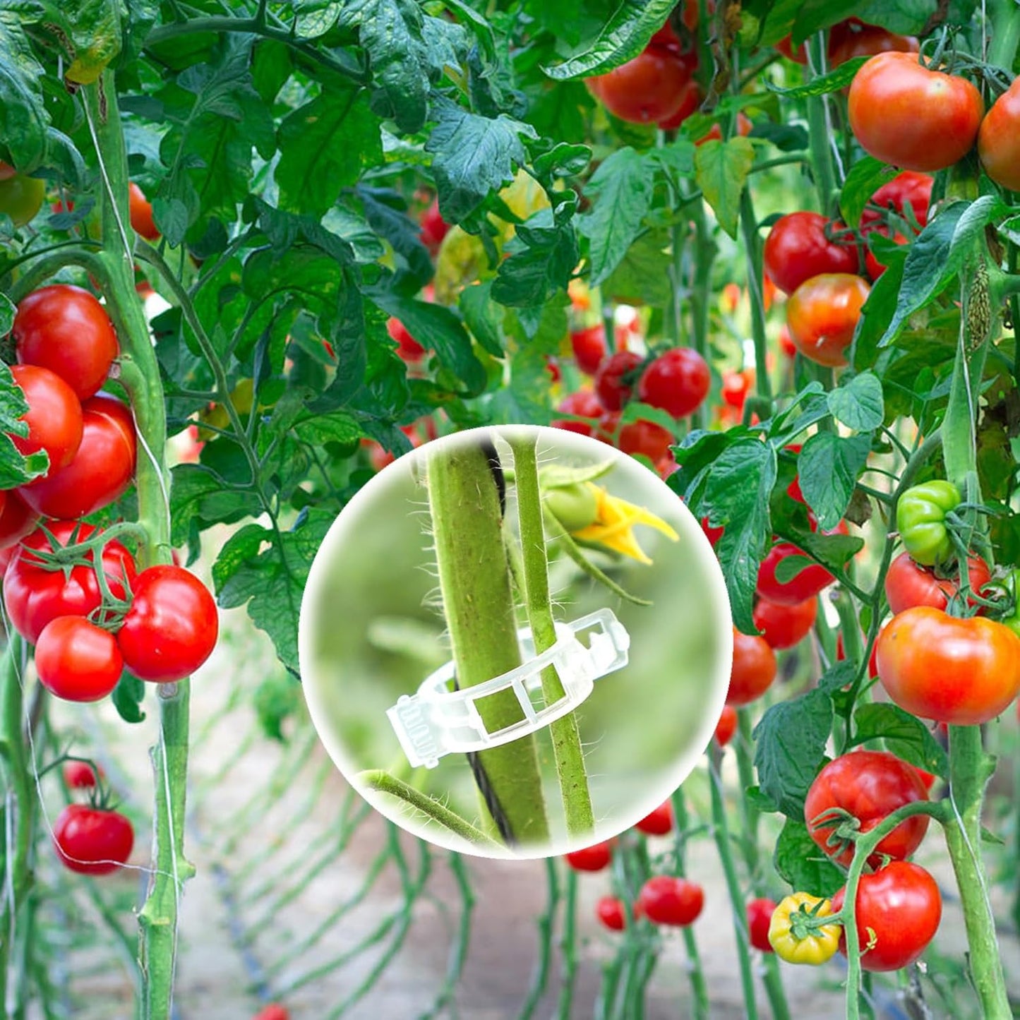 GardenLock™ Plant Clips – Återanvändbara växtclips för stabil och organiserad odling